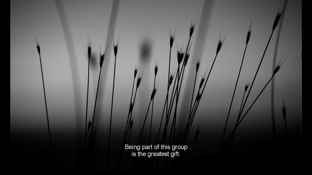 AMALGAMATION documentary - trailer  (Sylvia Nicolaides & Nicolas Iordanou)