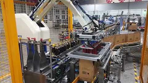 Automatic Plastic Bottle Case Packer, Robot Carton Packer Machine