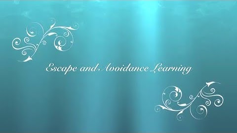 Escape and Avoidance