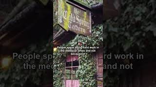 Did Medieval Taverns Serve Cocktails #shorts #medieval