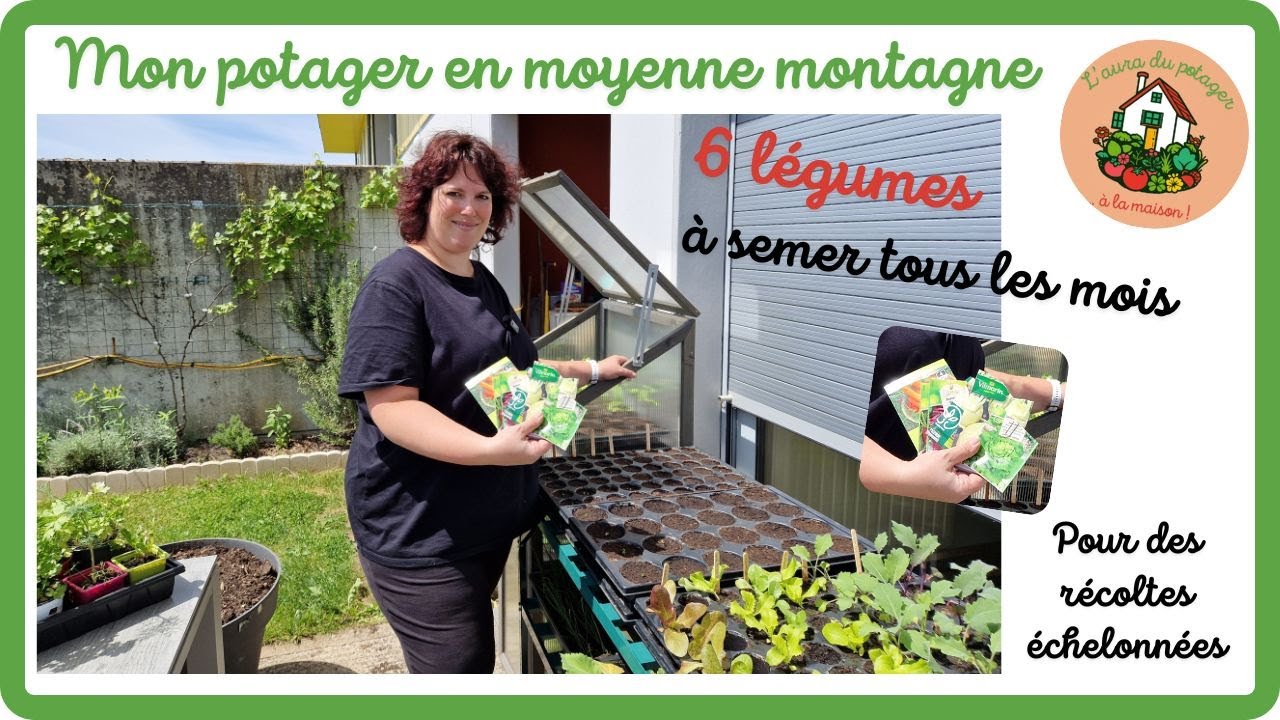 6 légumes à semer tous les mois pour des récoltes échelonnées !