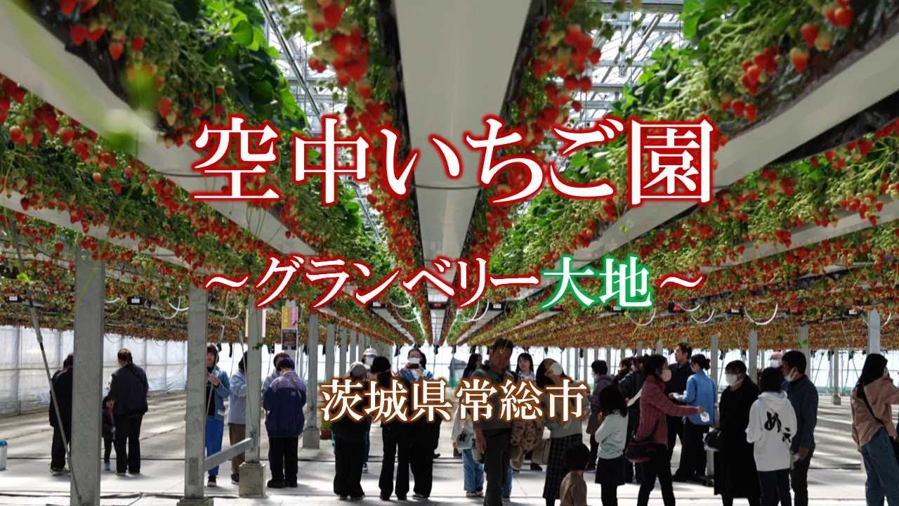 空中いちご園　～グランベリー大地～　茨城県常総市