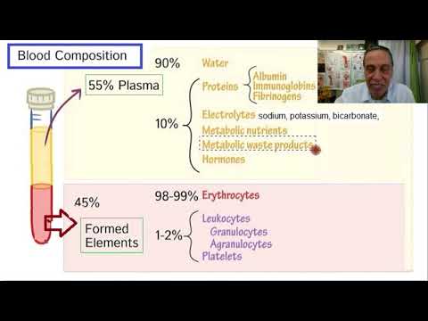 مكونات الدم وما هي وظيفة كل مكون منها الجزء 2 البلازما وكرات الدم الحمراء والبيضاء وصفائح الدم