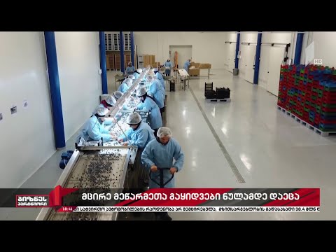 მცირე და საშუალო ბიზნესი კრიზისშია