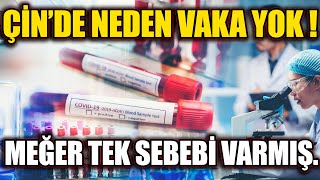Çin'de Vakalar Neden Bitti İŞTE ŞAŞIRTAN CEVABI