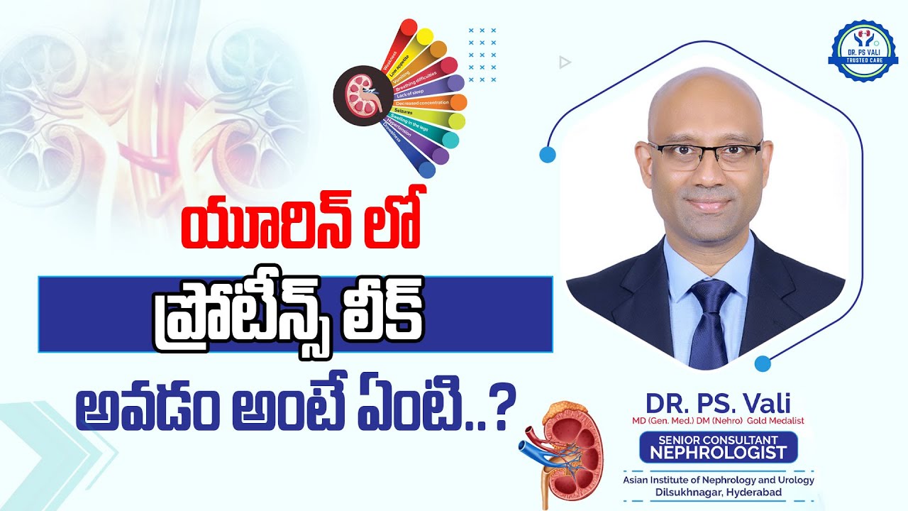 Что означает утечка белка в моче?