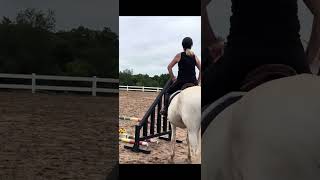 For lease - solid packer for beginner/timid rider but still fun for advanced riders too!! Best Boy!