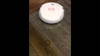 クリーナーロボットvの仕事ぶりを動画で初公開