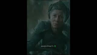 Fly High Rhaenys And Meleys