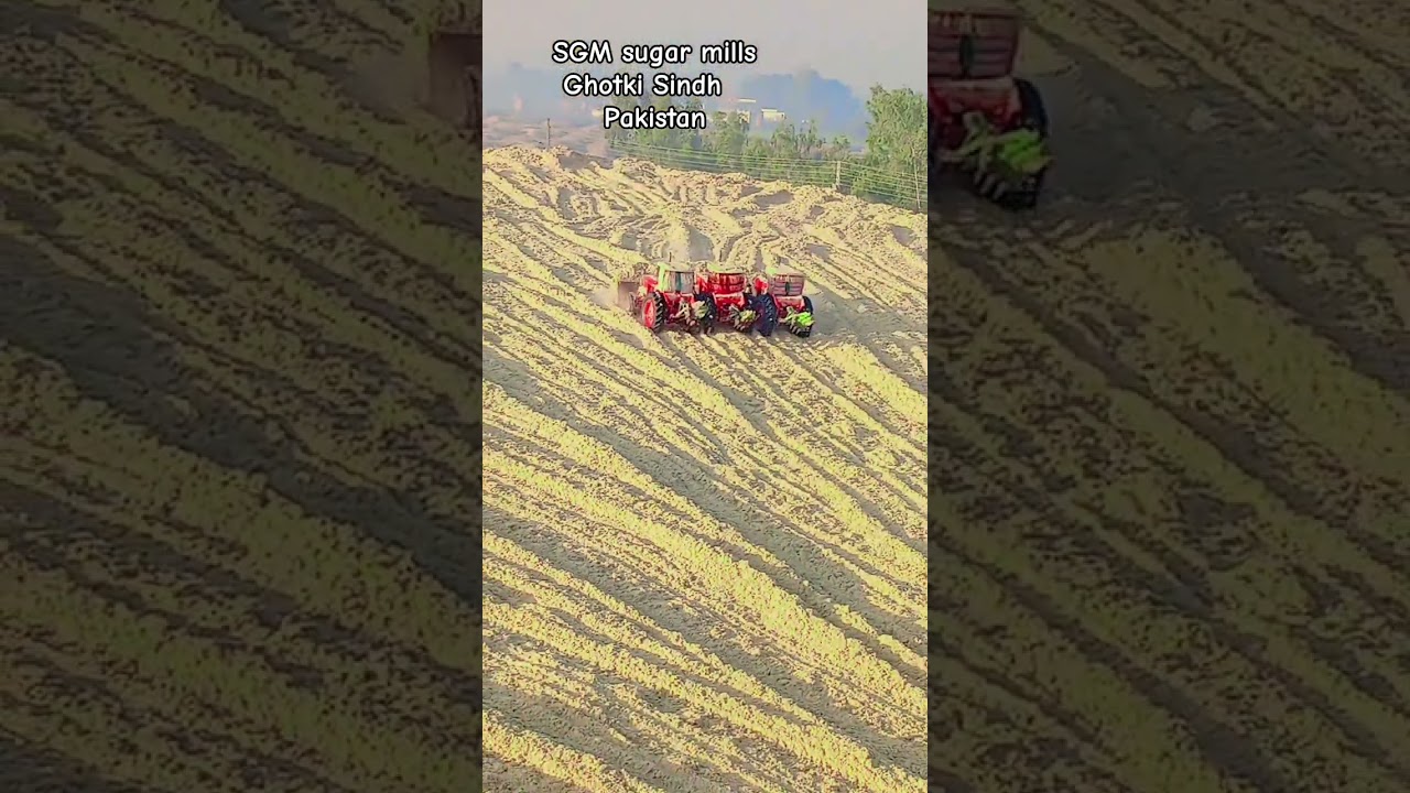 SGM sugar mills LTD Ghotki Sindh Pakistan Morning View 