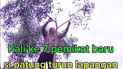 Kali ke 2 mikat serindit di sport keras tompinai.