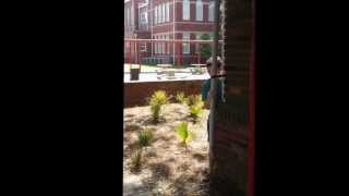 APES Water Pollution