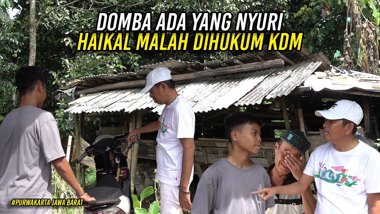 TEMUI AN4K YANG DOMBANYA DICUR1-SISA 1 EKOR DIJUAL BUAT BELI BERAS-HAIKAL MALAH DIHUKUM KDM