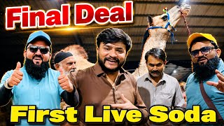 Deal Final | Camel Ka Soda Kitne Ka Final Hoa | First deal camel Mandi | Shapur Kanjra Lahore Mandi