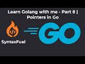 Learn Golang with Me - Part 8 | Pointers in Go