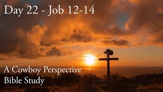 Day 22 | Chronological Bible in One Year | Job 12-14