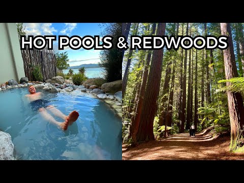 Two days in Rotorua (Redwoods Treewalk and Geothermal Hot Pools!)
