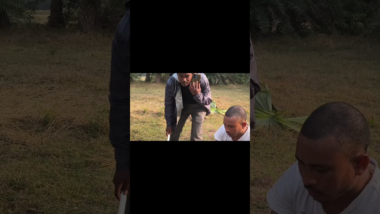 NEW year Picnic 2026 With NYC GANG