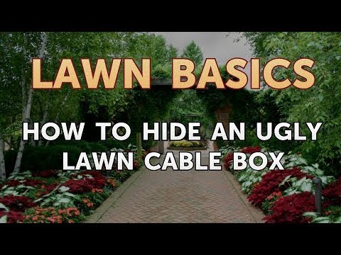 How to Hide an Ugly Lawn Cable Box