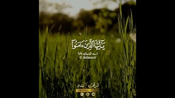 🌺اللهم صل وسلم على نبينا محمد✨ سورة الأحزاب:٥٦|إدريس أبكر|Surah Al Ahzaab:56|Idrees Abkar