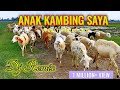 Lagu anak kambing saya  caca marica hey hey  audio