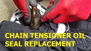Toyota MR2 Spyder / Roadster 1ZZ Engine Chain Tensioner Oil Seal Replacement