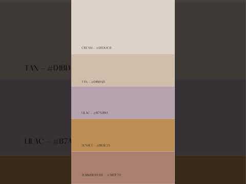 Choosing the Right Color Palette for Your Space | Vesna Interiors
