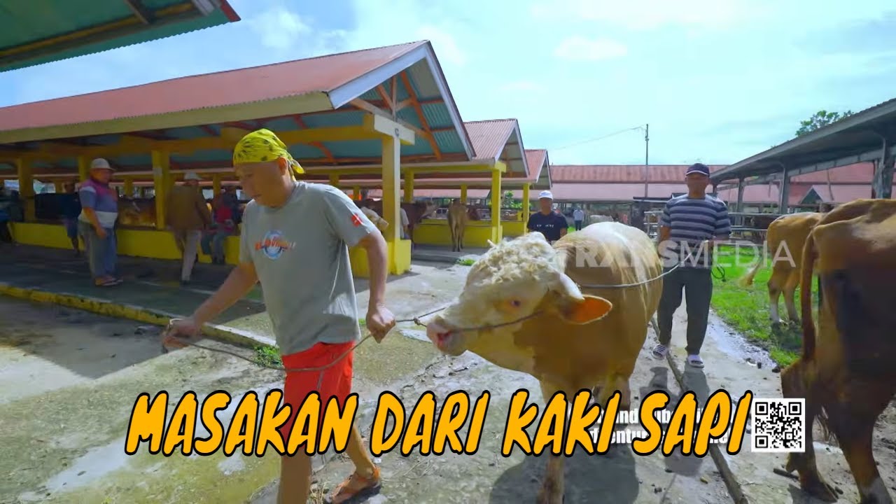 [FULL] OLAHAN MANTAB DARI KAKI SAPI DAN PUYUH | JEJAK SI GUNDUL (16/02/26)