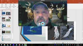 Phylum Mollusca Video lesson 4