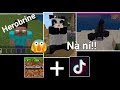 Những video Tik Tok độc đáo và thú vị về Minecraft phần 17