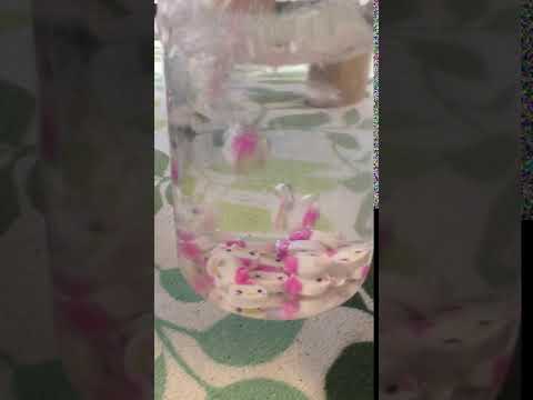 Eraser Train Falling Down Into A Barley Tea Pot Close Up Reverse A Good Video For Killing Time 