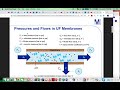 Tangential flow filtration critical process parameters