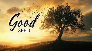 16th Sunday in Ordinary Times: Good Seed, 7/19/2026, 10:00 AM