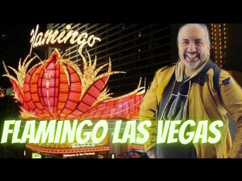 ¡Así se vivió la Pasarela de Otoño en Caliente Casino Macroplaza!