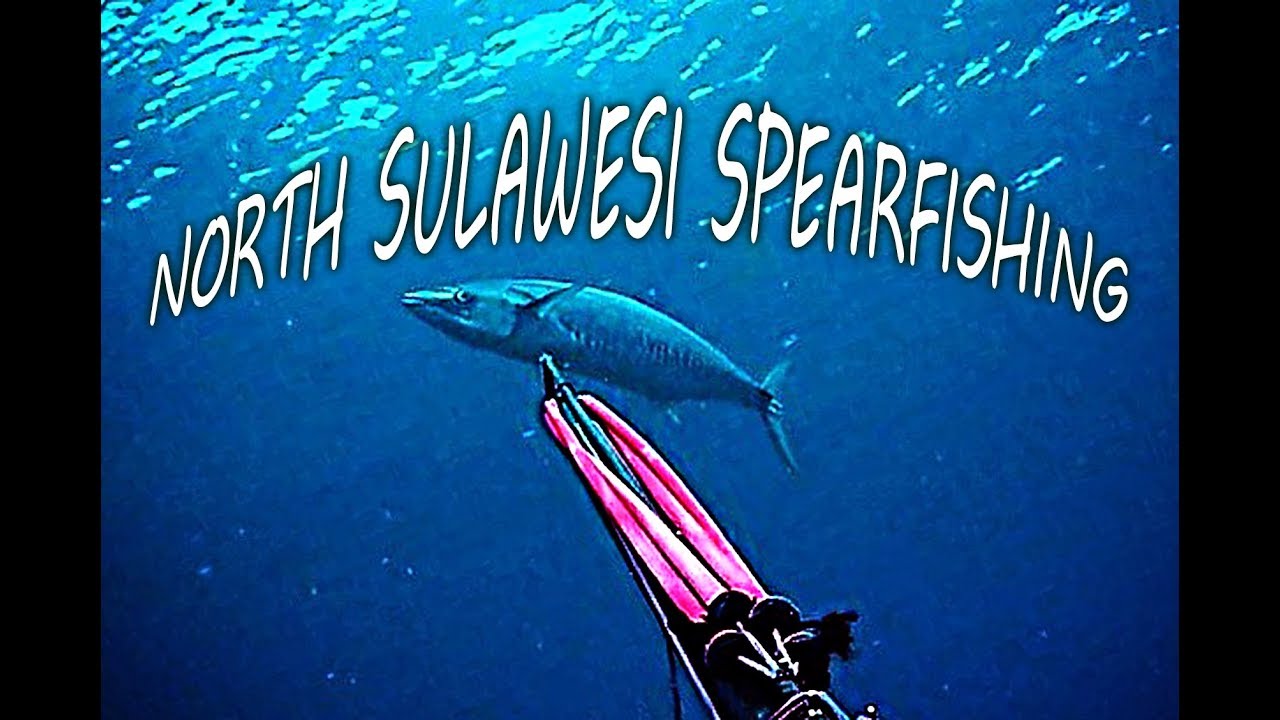 Tumbak Spearfishing Spanish Mackerel - NORTH SULAWESI ISLAND - DISCOVER INDONESIA