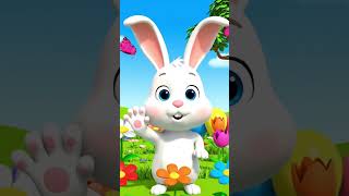 #rabbitcounting#countingforkids#learnnumbers#counting123#kidscartoon#bunnycartoon#kidslearningvideos