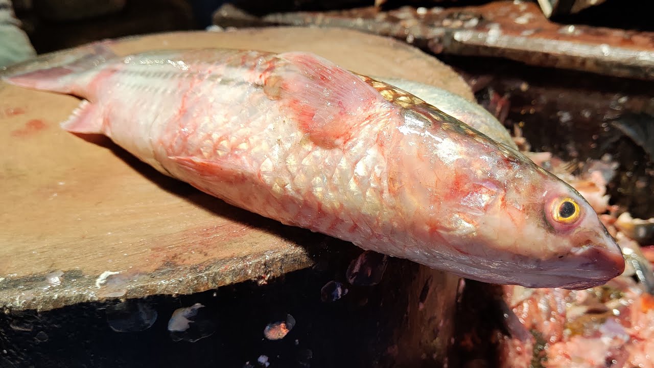 Amazing skills show live today’s fish market 007 is live!