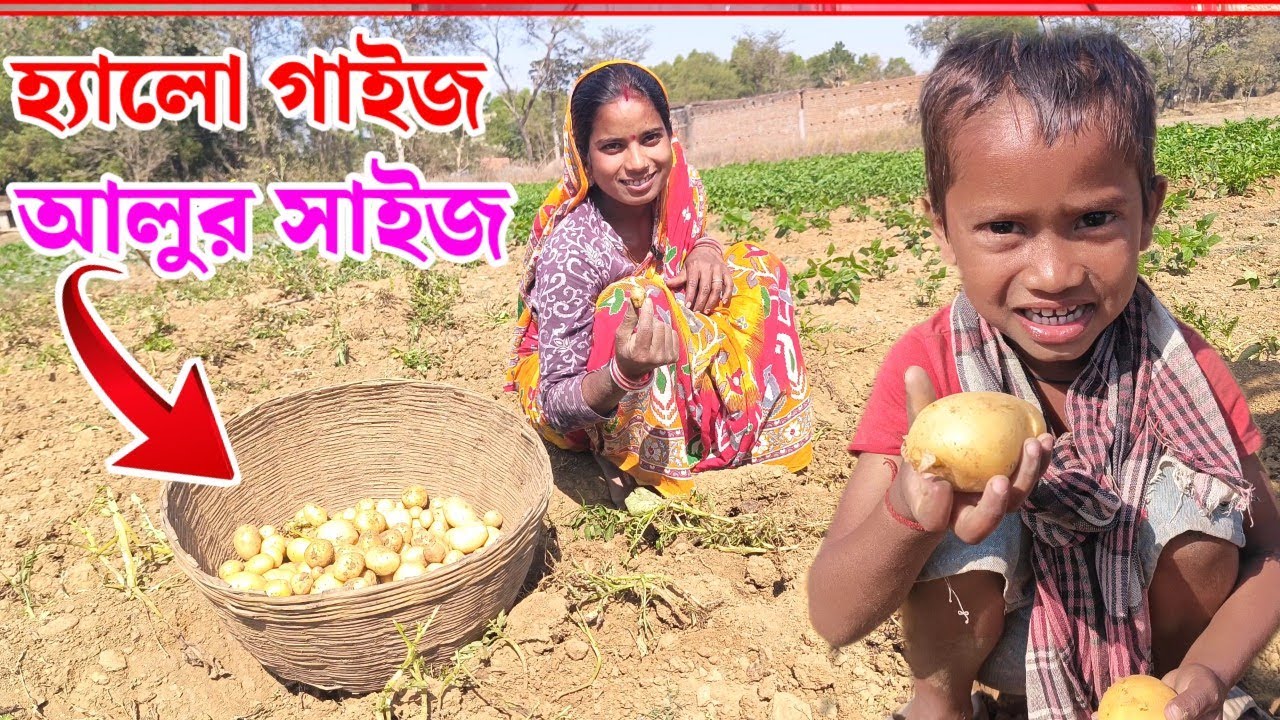 হ্যালো গাইজ দেখো আলুর সাইজ// Sanju Mahato New Funny Vlog 