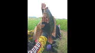 Spot delta demak