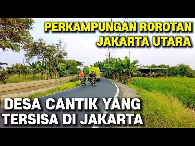 Perkampungan Rorotan , Desa Cantik Yang Tersisa Di Jakarta Utara class=