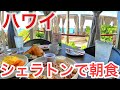 【シェラトンワイキキで朝食・最新ハワイ】昨日営業再開したシェラトンワイキキのRUMFIREで絶景朝食