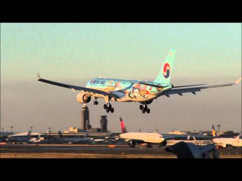 koreanair 特別塗装機　成田空港着陸!