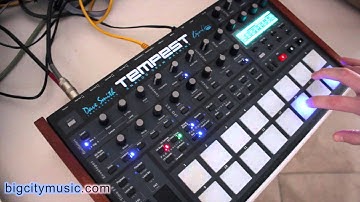 Dave Smith Tempest 1.4 Arpeggiator demo (Sequential)