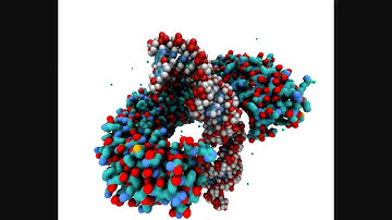 Tol-like Receptor Modelling