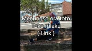 Menungso Ora Toto - Teko mlaku Cover Cindy Cintya Dewi (lirik)