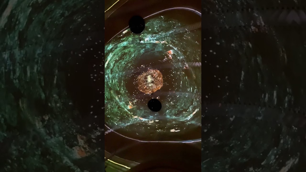 The Creation Story Like Never Before