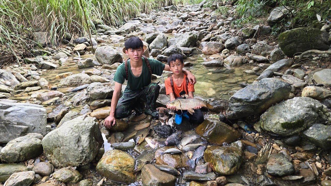Fishing skills, 2 highland boys block the flow to catch fish and harvest stream fish to sell