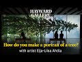 Among the Trees - How Do You Make A Portrait Of A Tree? | Hayward Gallery