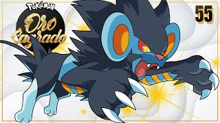 Pokémon Oro Sagrado Ep.55 - ¿CALLE VICTORIA O... DERROTA?