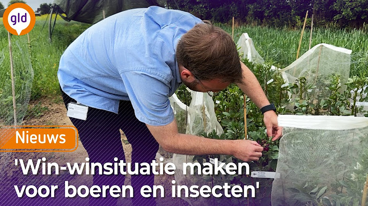 3D-MODELLEREN van bloemen om insecten te lokken